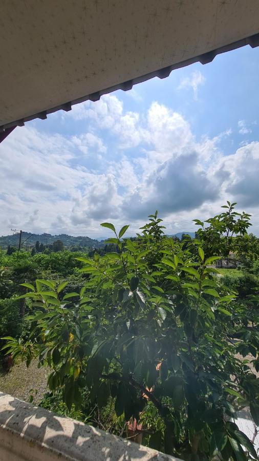 Gios Guest House 查克维 外观 照片